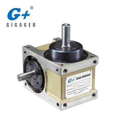 Şaft Modeli DS Serisi